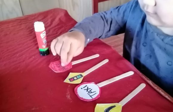 CLASES A DISTANCIA , NUEVOS ESCENARIOS PARA APRENDER