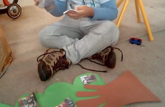 CLASES A DISTANCIA , NUEVOS ESCENARIOS PARA APRENDER