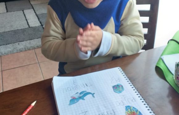 CLASES A DISTANCIA , NUEVOS ESCENARIOS PARA APRENDER