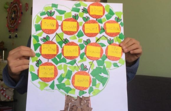 CLASES A DISTANCIA , NUEVOS ESCENARIOS PARA APRENDER