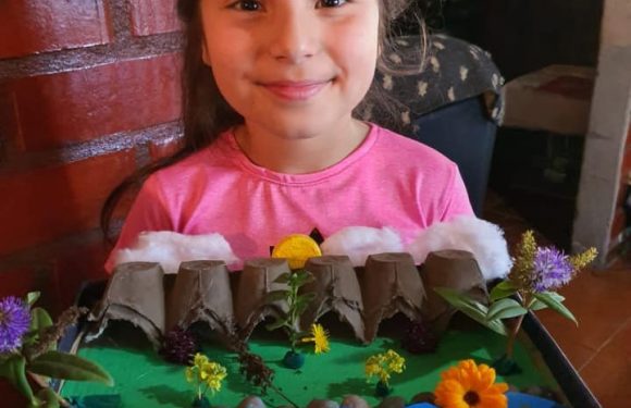 CLASES A DISTANCIA , NUEVOS ESCENARIOS PARA APRENDER