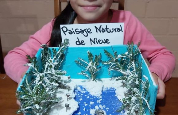 CLASES A DISTANCIA , NUEVOS ESCENARIOS PARA APRENDER