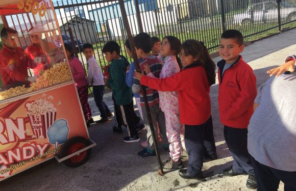 DÍA DEL ALUMNO MAYO 2018