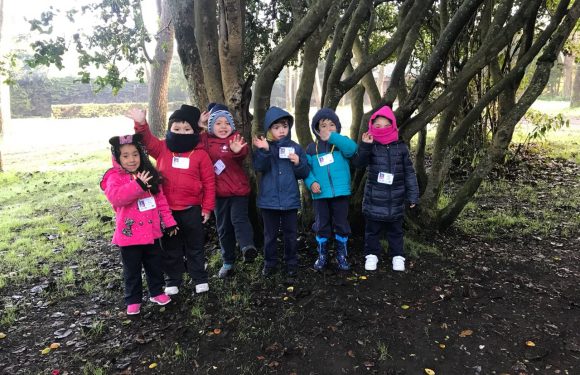 SALIDA PEDAGÓGICA PARQUE JORGE ALESANDRI