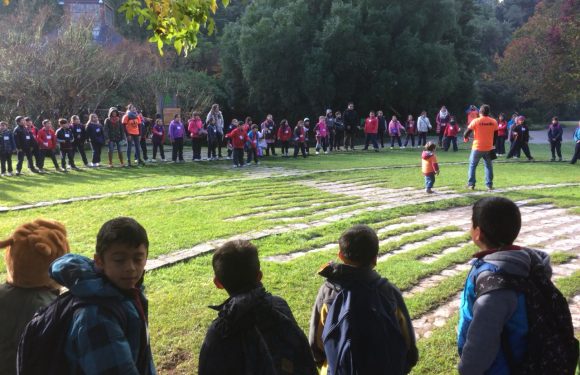 SALIDA PEDAGÓGICA PARQUE JORGE ALESANDRI