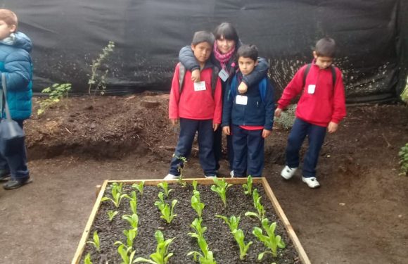 SALIDA PEDAGÓGICA PARQUE JORGE ALESANDRI