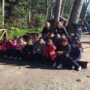 SALIDA PEDAGÓGICA PARQUE JORGE ALESANDRI