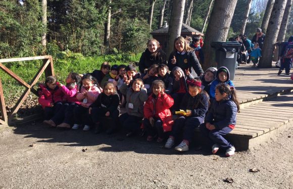 SALIDA PEDAGÓGICA PARQUE JORGE ALESANDRI