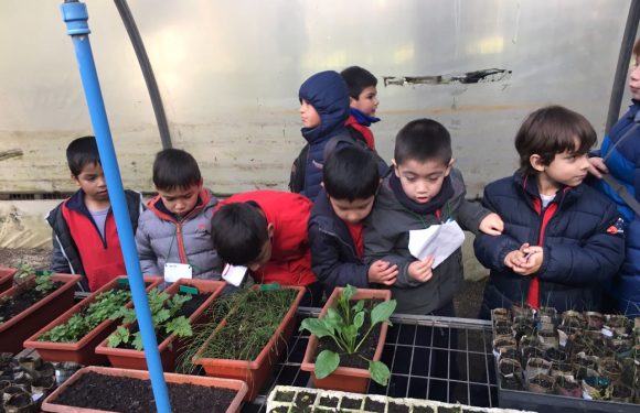 SALIDA PEDAGÓGICA PARQUE JORGE ALESANDRI