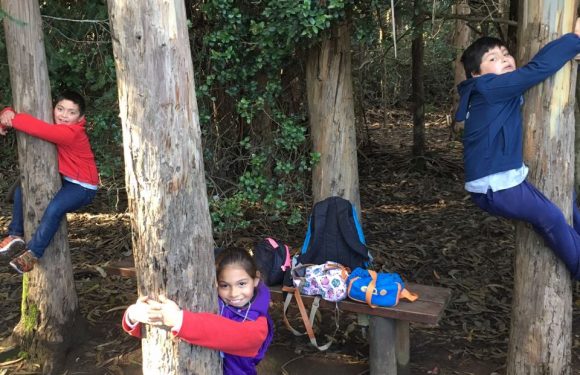 SALIDA PEDAGÓGICA PARQUE JORGE ALESANDRI