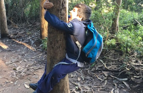 SALIDA PEDAGÓGICA PARQUE JORGE ALESANDRI