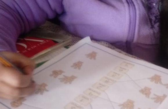 CLASES A DISTANCIA , NUEVOS ESCENARIOS PARA APRENDER