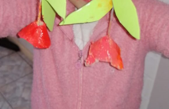 CLASES A DISTANCIA , NUEVOS ESCENARIOS PARA APRENDER