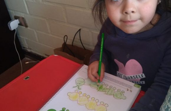 CLASES A DISTANCIA , NUEVOS ESCENARIOS PARA APRENDER