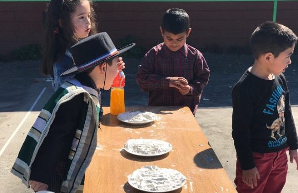 Fiestas patrias 2017