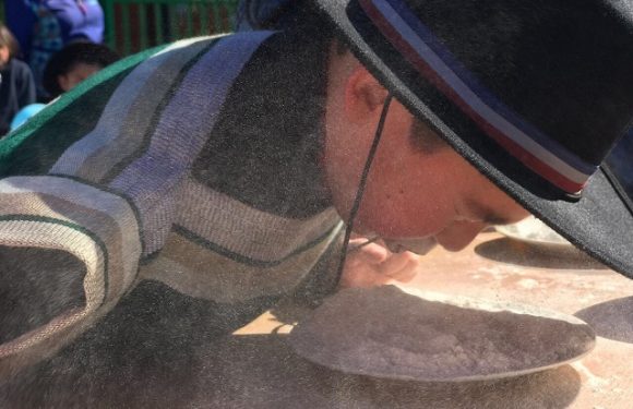 Fiestas patrias 2017