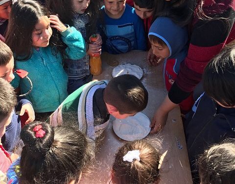 Fiestas patrias 2017