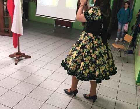 Fiestas patrias 2017