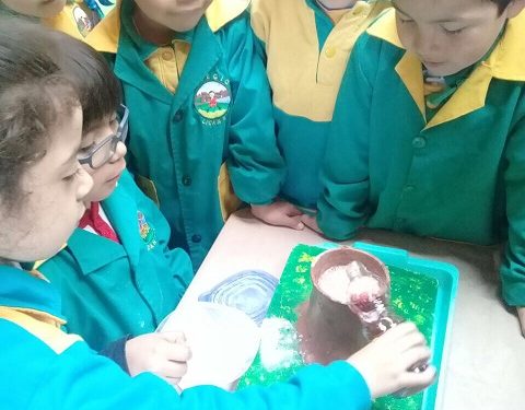 SEMANA DE LA CIENCIA TECNOLOGÍA EN EL COLEGIO LICAN RAY