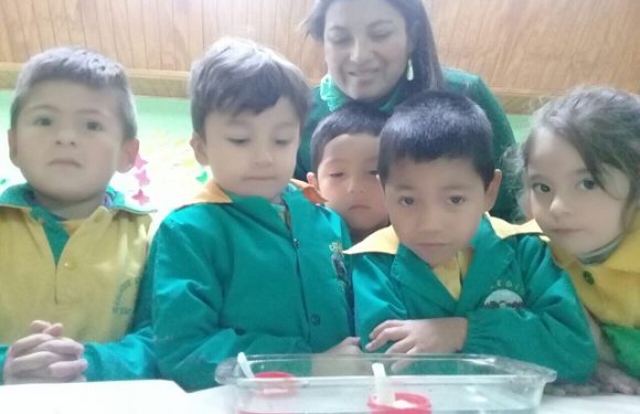 SEMANA DE LA CIENCIA TECNOLOGÍA EN EL COLEGIO LICAN RAY