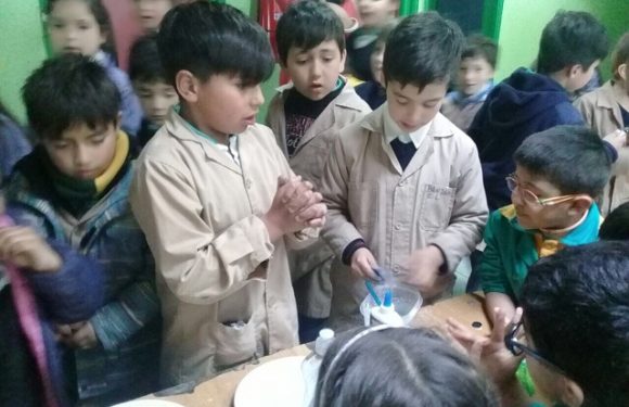 SEMANA DE LA CIENCIA TECNOLOGÍA EN EL COLEGIO LICAN RAY