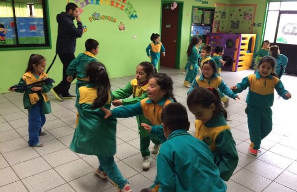 TALLER DE PSICOLOTRICIDAD EN PRE BASICA