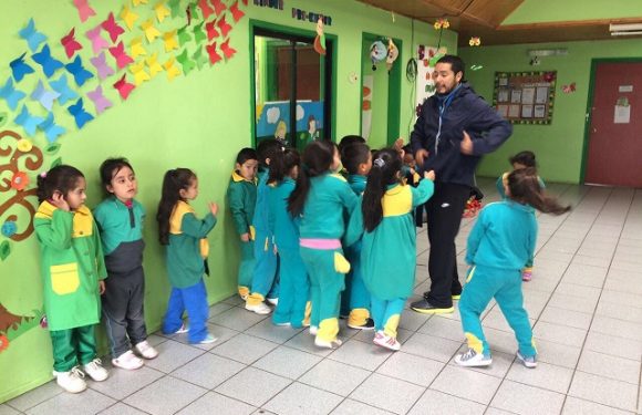 TALLER DE PSICOLOTRICIDAD EN PRE BASICA