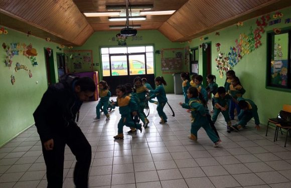 TALLER DE PSICOLOTRICIDAD EN PRE BASICA