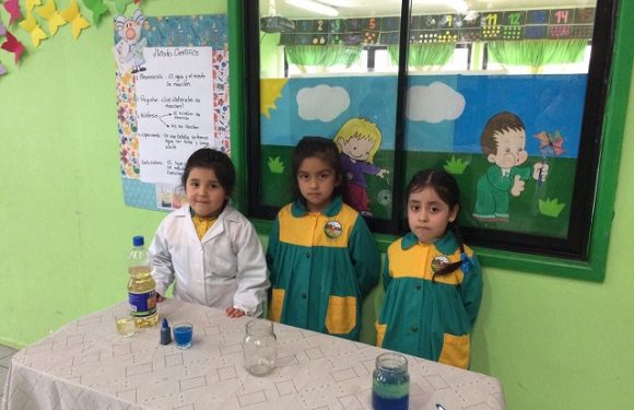 SEMANA DE LA CIENCIA TECNOLOGÍA EN EL COLEGIO LICAN RAY