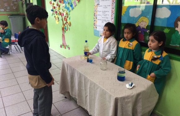 SEMANA DE LA CIENCIA TECNOLOGÍA EN EL COLEGIO LICAN RAY