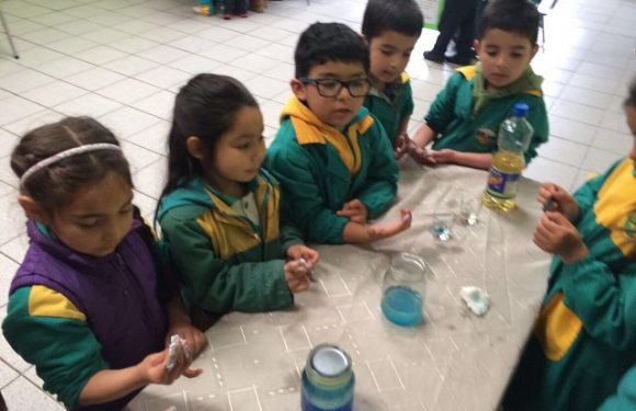 SEMANA DE LA CIENCIA TECNOLOGÍA EN EL COLEGIO LICAN RAY