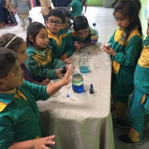 SEMANA DE LA CIENCIA TECNOLOGÍA EN EL COLEGIO LICAN RAY