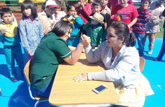 ANIVERSARIO COLEGIO LICAN RAY 2017