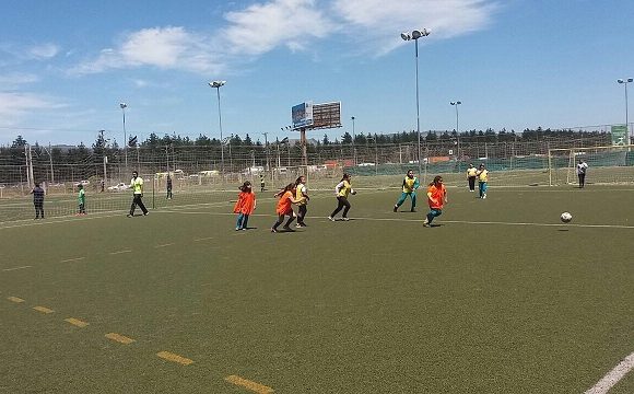 CAMPEONATO DE FÚTBOL COPA LICAN RAY 2017