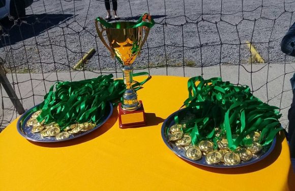 CAMPEONATO DE FÚTBOL COPA LICAN RAY 2017