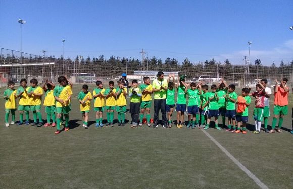 CAMPEONATO DE FÚTBOL COPA LICAN RAY 2017