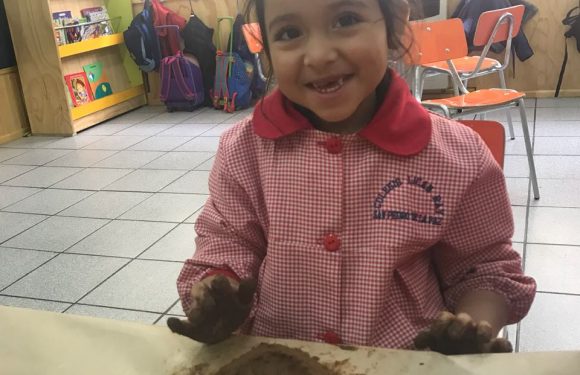 DIA NACIONAL DE LOS PUEBLOS ORIGINARIOS DE CHILE