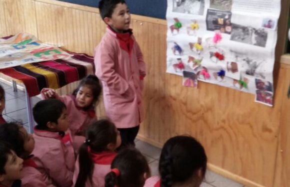 DIA NACIONAL DE LOS PUEBLOS ORIGINARIOS DE CHILE