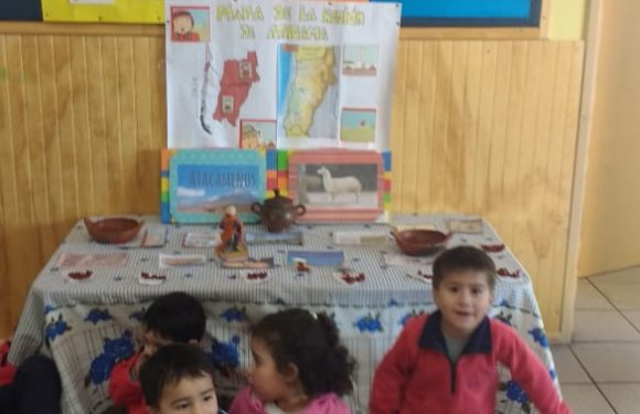 DIA NACIONAL DE LOS PUEBLOS ORIGINARIOS DE CHILE