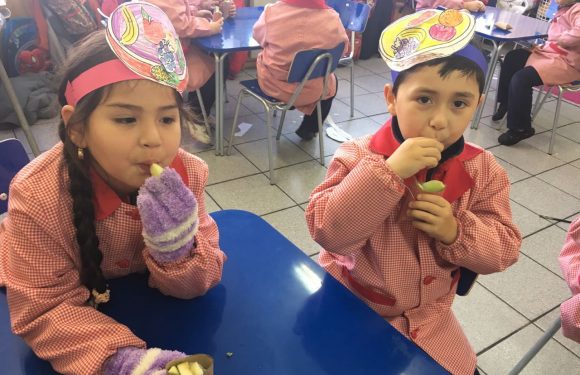 ” FRUTAS Y VERDURAS” ALIMENTACIÓN SALUDABLE. “PREBÁSICA Y ESCUELA DE LENGUAJE DE MASTER CHEF”