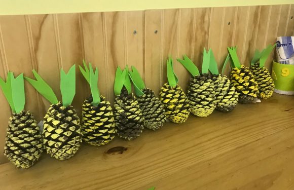 ” FRUTAS Y VERDURAS” ALIMENTACIÓN SALUDABLE. “PREBÁSICA Y ESCUELA DE LENGUAJE DE MASTER CHEF”