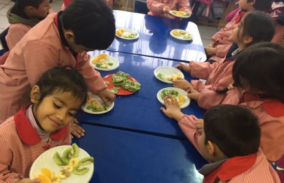 ” FRUTAS Y VERDURAS” ALIMENTACIÓN SALUDABLE. “PREBÁSICA Y ESCUELA DE LENGUAJE DE MASTER CHEF”