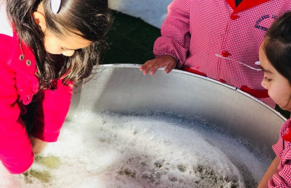 VISITA PEDAGÓGICA “CICAT”