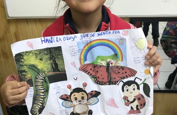 TRABAJO EN FAMILIAS. ESCRITURA CREATIVA DE CUENTOS