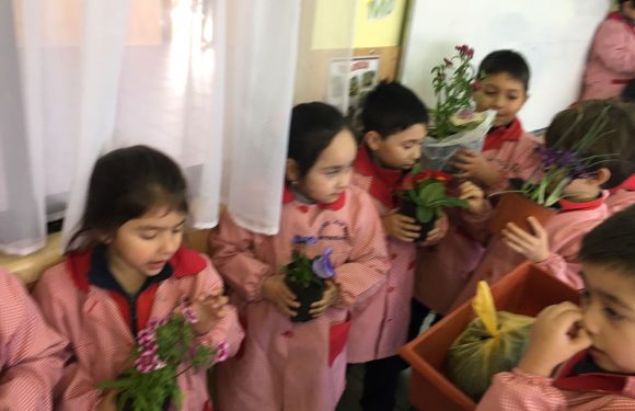 DÍA DE LA PACHAMAMA