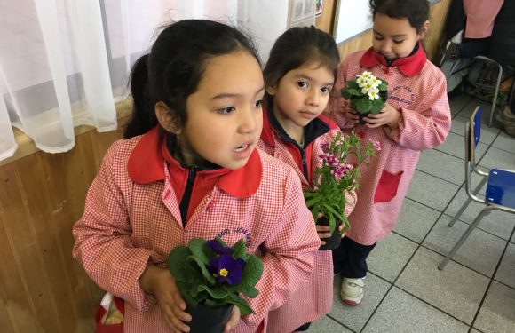 DÍA DE LA PACHAMAMA