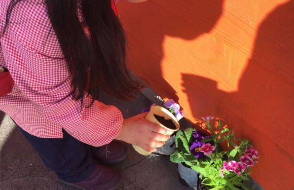 DÍA DE LA PACHAMAMA