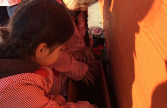 DÍA DE LA PACHAMAMA