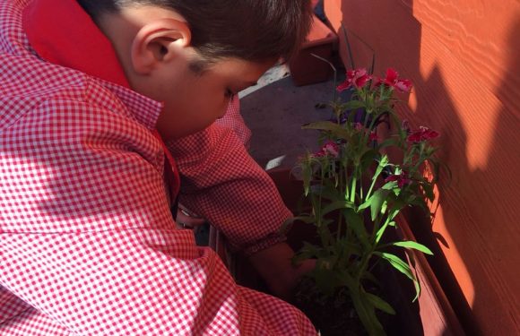 DÍA DE LA PACHAMAMA