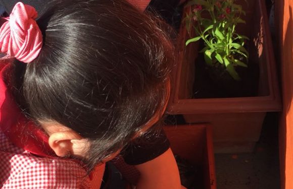 DÍA DE LA PACHAMAMA